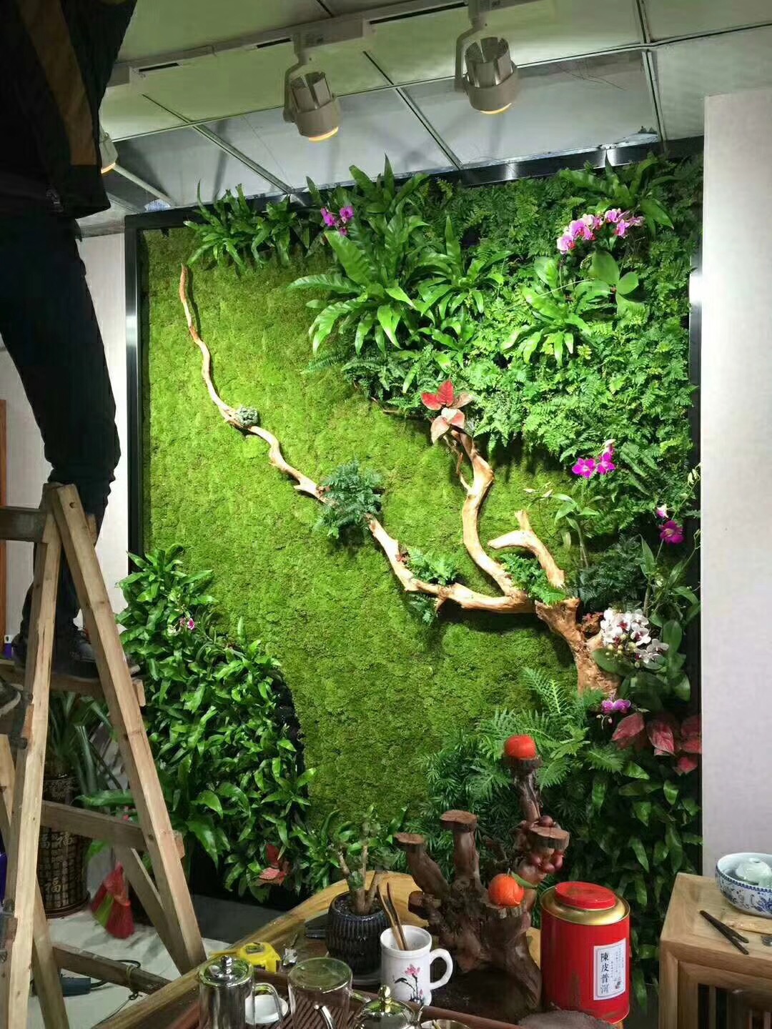 苔蘚植物墻 室內(nèi)苔蘚植物墻