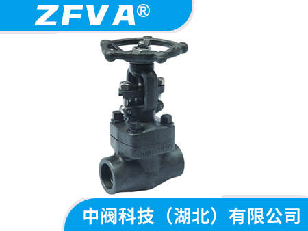 Y型鍛鋼截止閥 湖北鍛鋼截止閥廠家 鍛鋼放空導(dǎo)淋閥