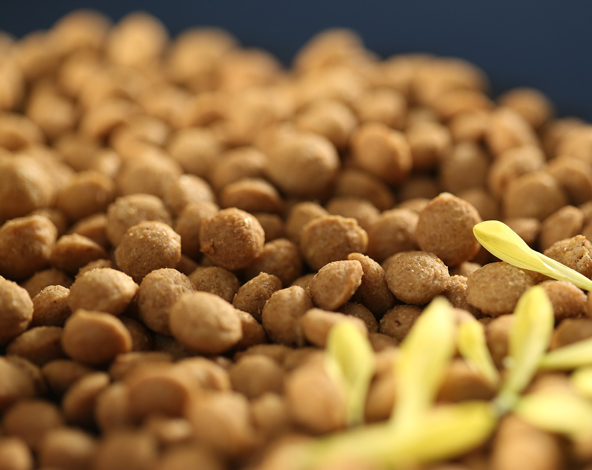 高端*OEM代工 *代工