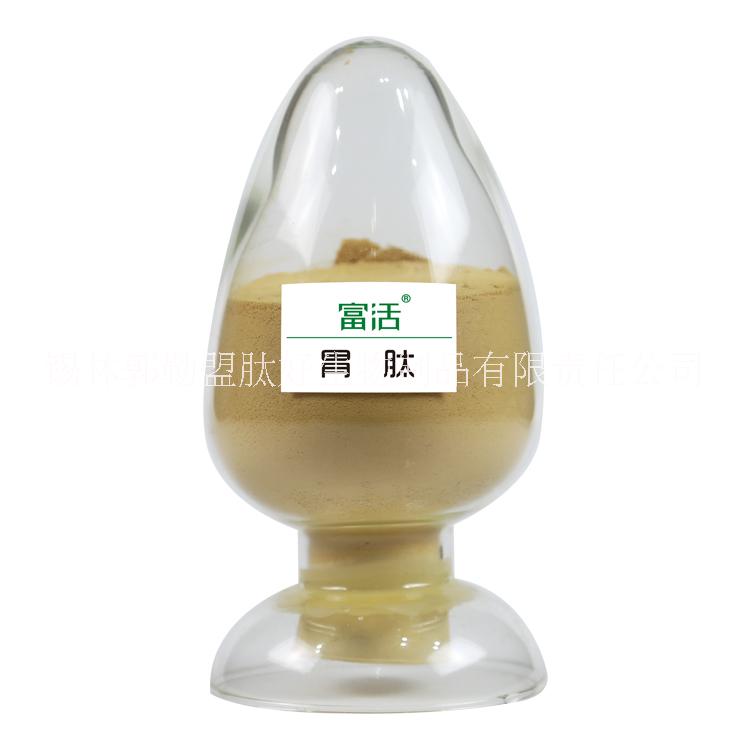 牛羊胃肽粉 小分子蛋白肽粉 食品級肽原料 肽食品OEM ODM代工廠家