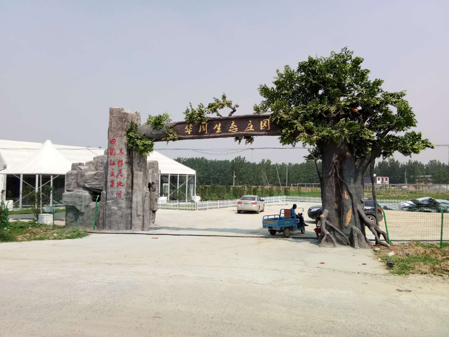 塑樹