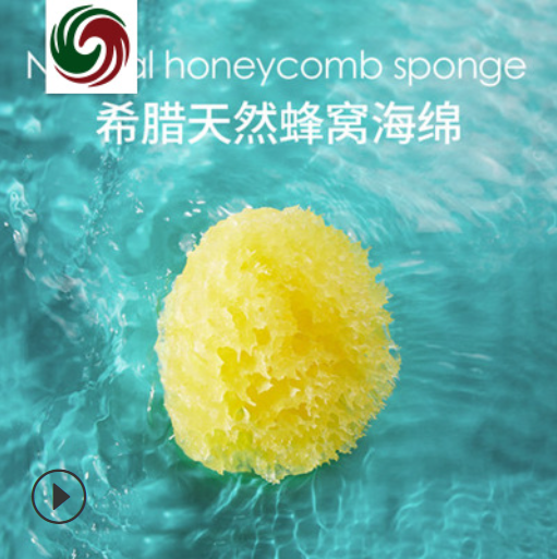 繪畫用吸水海綿 吸水海綿 海綿  吸水海綿定制 吸水海綿批發(fā) 繪畫用吸水天然海綿