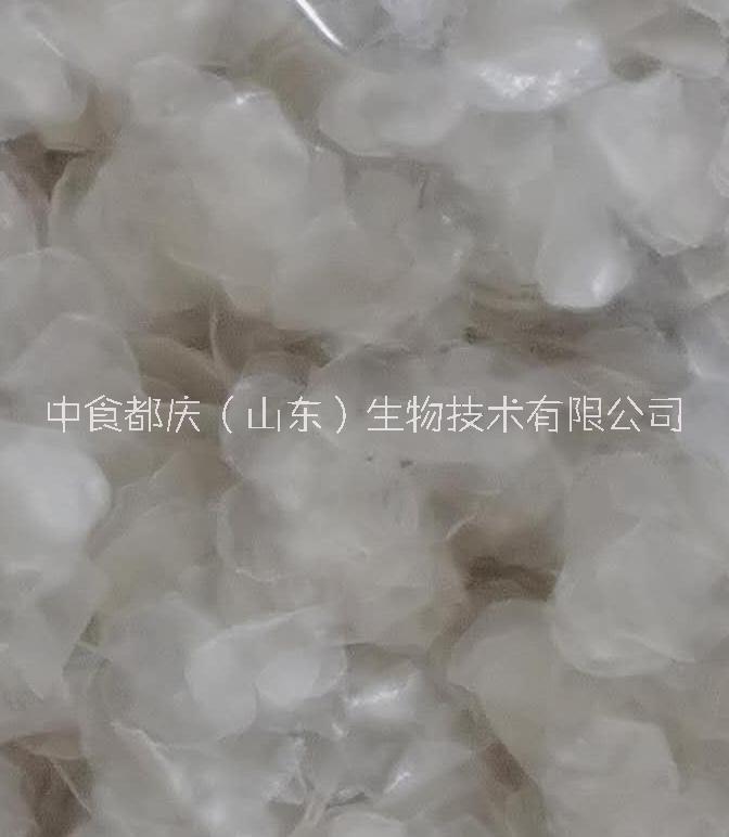 供應用于營養(yǎng)食品的山東一級小分子膠原肽 膠原肽供應 zsdq一級小分子膠原肽 中食都慶一級小分子膠原肽