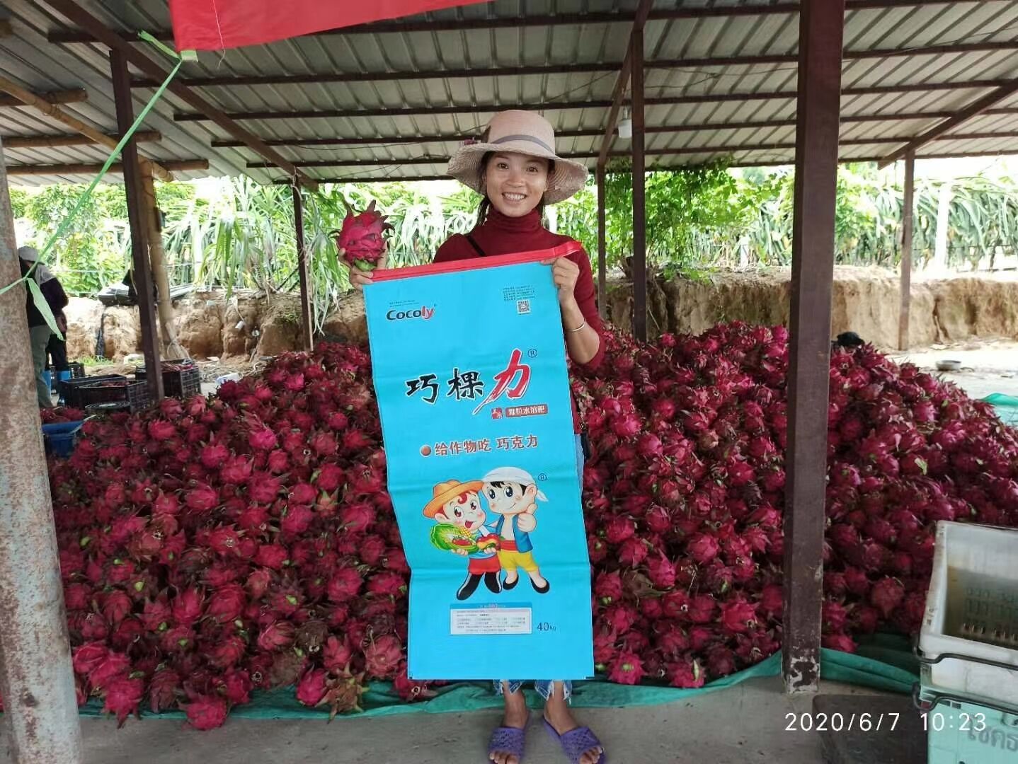 * 顆粒水溶肥巧棵力2020年新款上市配方再次升級！