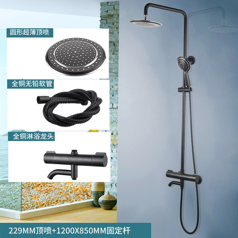 全銅龍頭家用浴室花灑淋雨噴頭