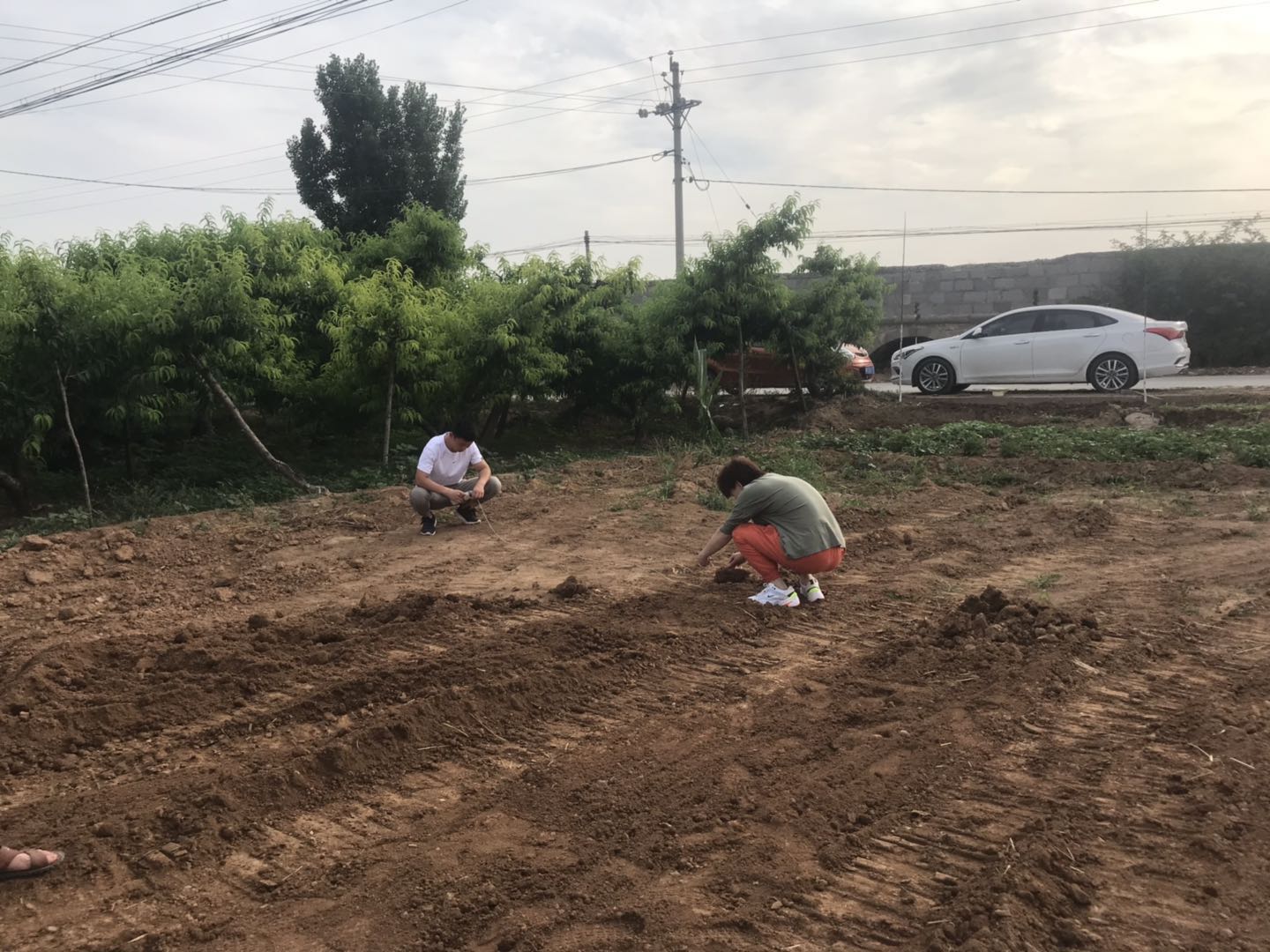 新鄉(xiāng)挖掘機培訓(xùn)  挖掘機技術(shù)培訓(xùn) 新鄉(xiāng)挖掘機培訓(xùn)學(xué)校