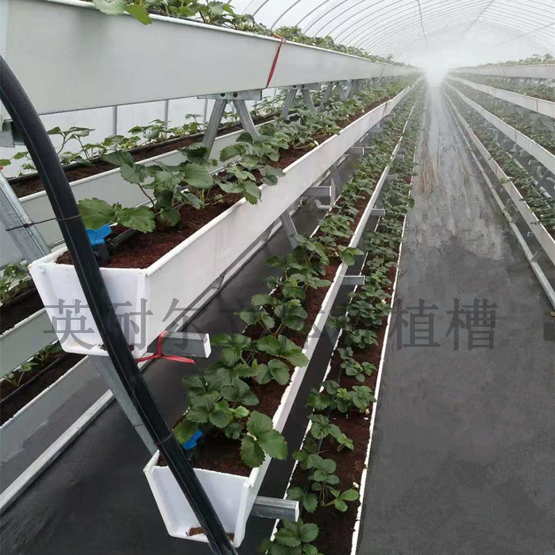 草莓栽培槽 立體種植槽 草莓立體栽培槽 英耐爾 草莓栽培槽 草莓種植槽