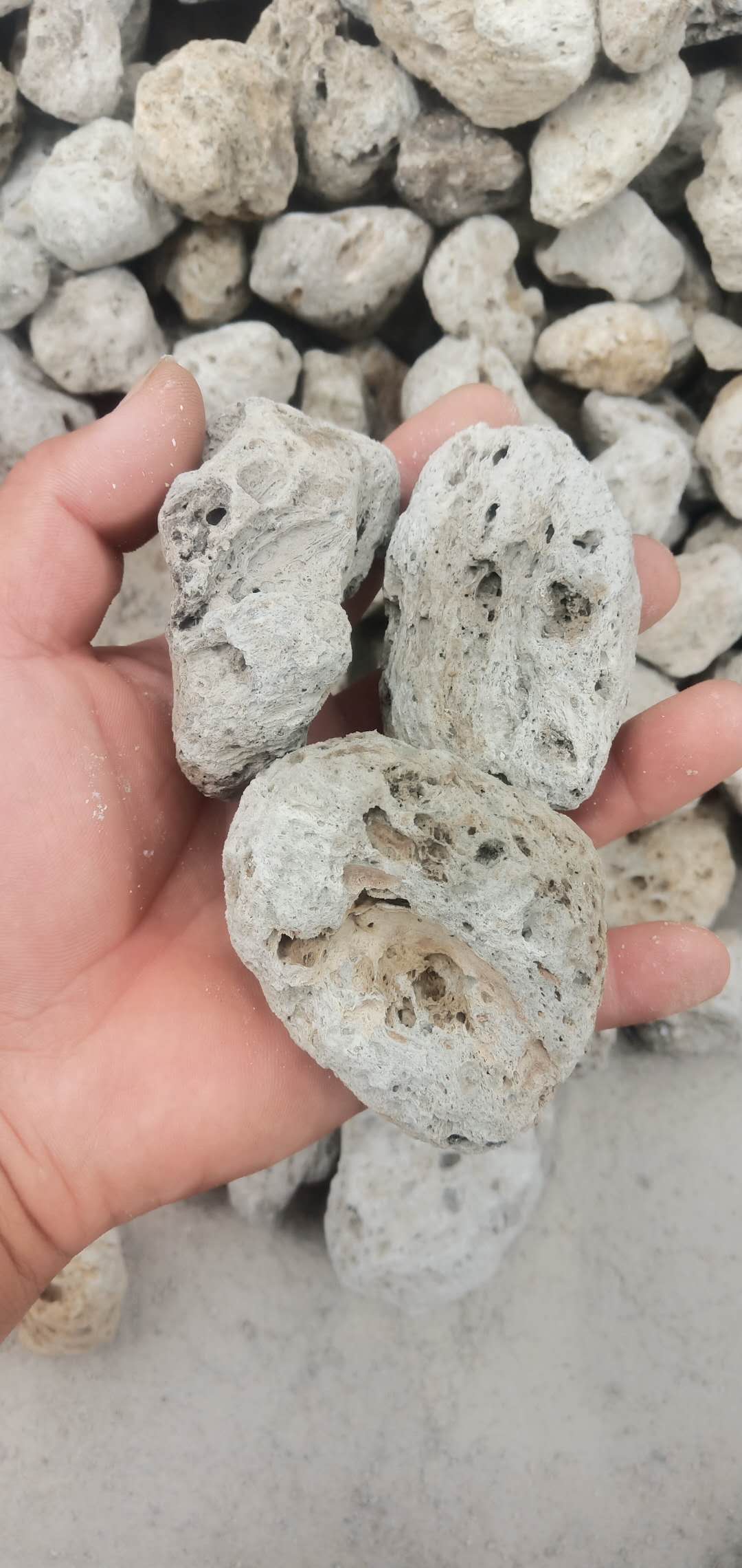 輕石供應(yīng) 浮石  輕石廠家