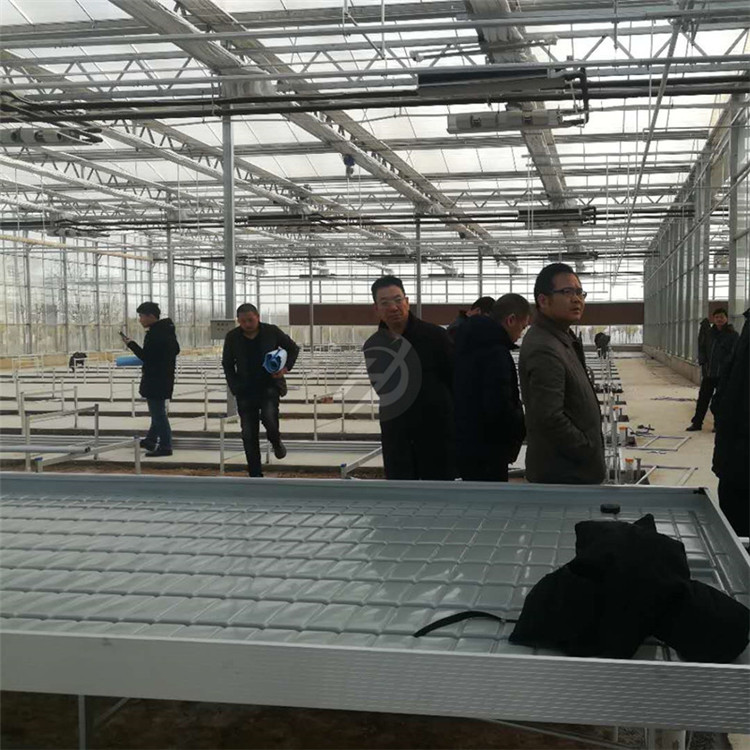 支持定做萬(wàn)向輪潮汐式苗床-移動(dòng)方便