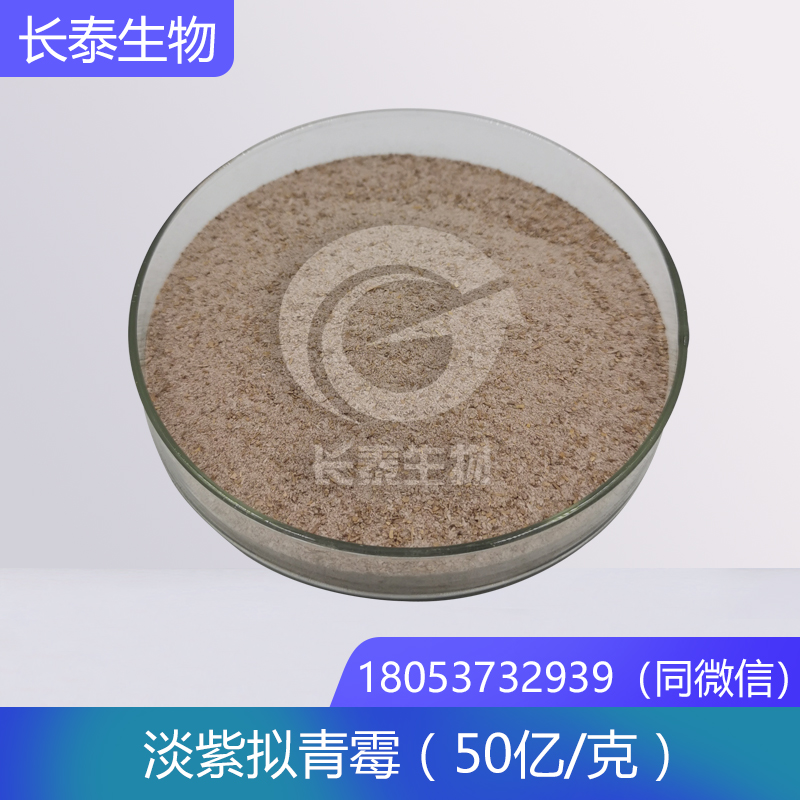 淡紫擬青霉 淡紫紫孢菌防線蟲(chóng)殺線蟲(chóng) 淡紫擬青霉使用方法