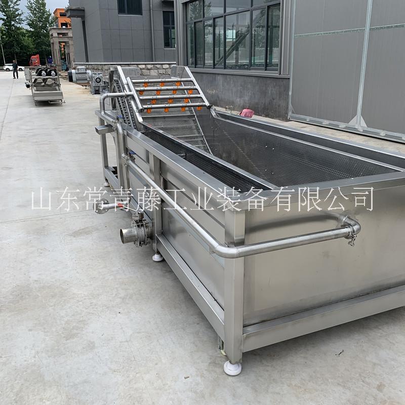 全自動(dòng)氣泡清洗機(jī) 粽葉清洗機(jī) 氣泡沖浪式洗菜機(jī)