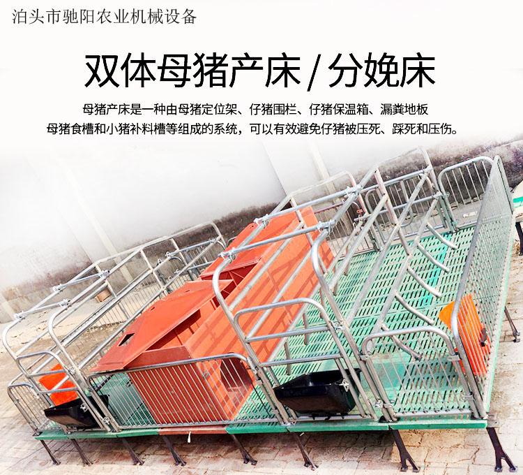 母豬產(chǎn)床 母豬雙體產(chǎn)床 廠家供應(yīng) 價(jià)格合理