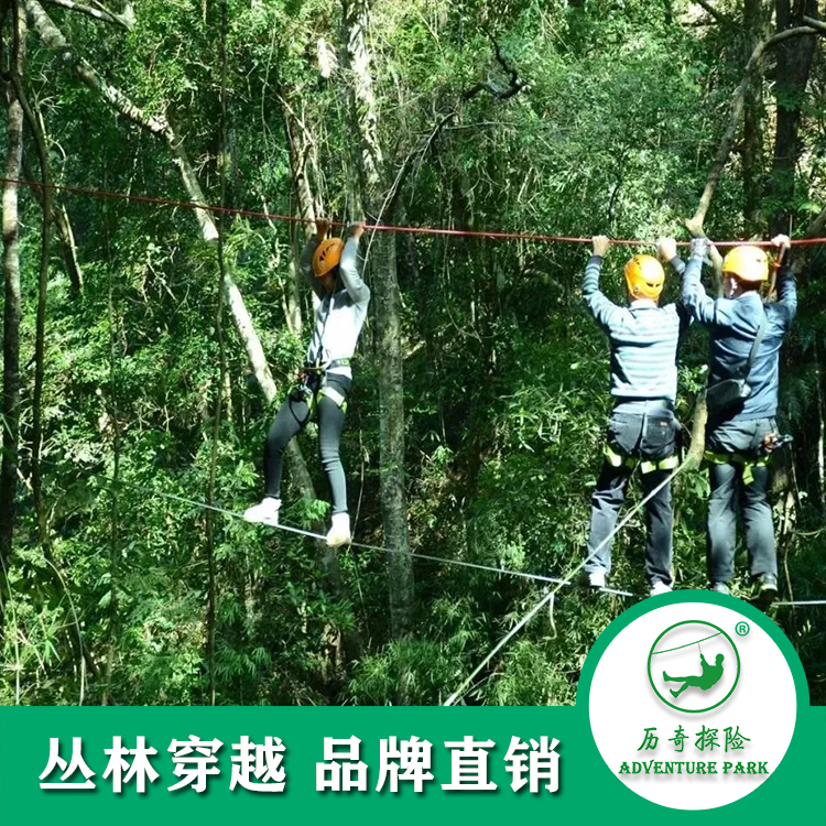 歷奇探險(xiǎn) 叢林穿越 樹上拓展 森林穿梭 戶外拓展 規(guī)劃設(shè)計(jì)安裝