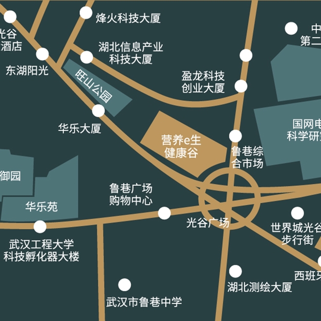 光谷國際廣場招商 營養(yǎng)e生健康谷 光谷國際廣場商鋪、寫字樓出租