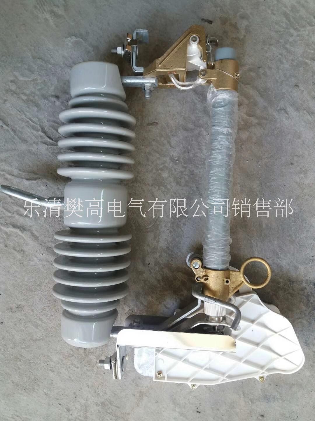 跌落式熔斷器RW10-12F/100A