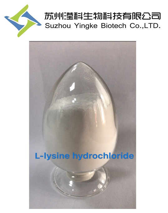供應(yīng)L-賴氨酸鹽657-27-2 廠家直銷