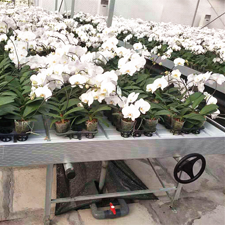 潮汐苗床福建潮汐苗床價格行情華耀潮汐苗床廠家批發(fā) 潮汐育苗床