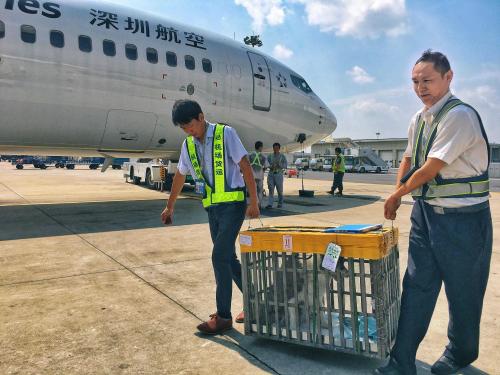 福州到哈爾濱寵物托運 物流專線 火車托運  福州狗狗火車托運公司