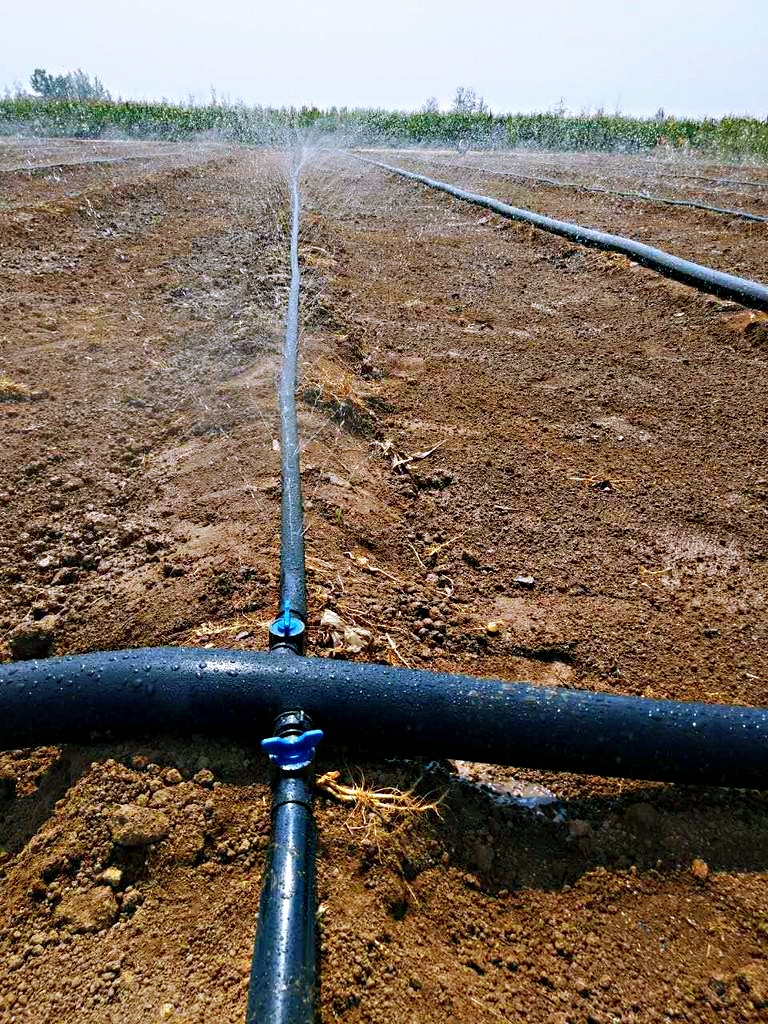 黑水帶 噴灌帶 微噴帶 多孔軟帶 億碧源節(jié)水 農(nóng)田灌溉水帶