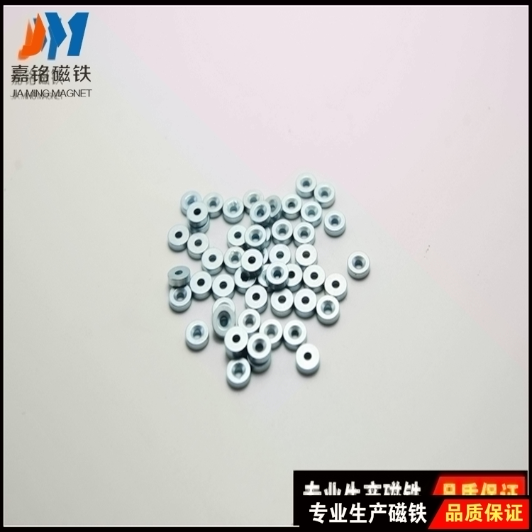 塑膠禮品磁， 塑膠電子磁直 塑膠禮品磁 保健磁鐵 面包磁