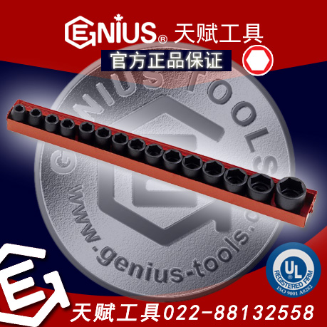 Genius天賦工具TF-016 1/2