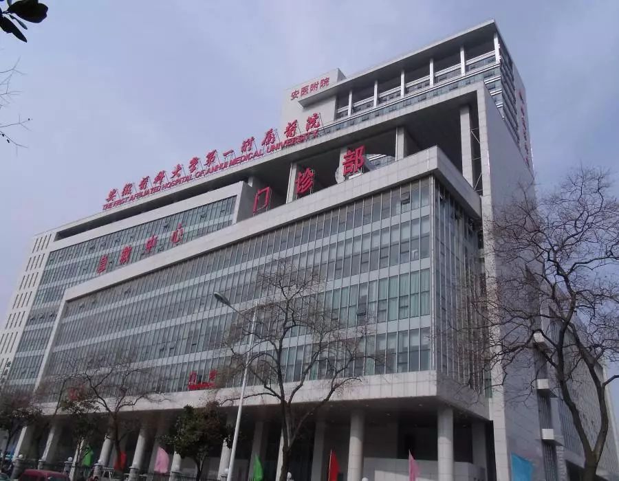 白蟻 白蟻防治 白蟻防治請除蟲公司一次多少錢