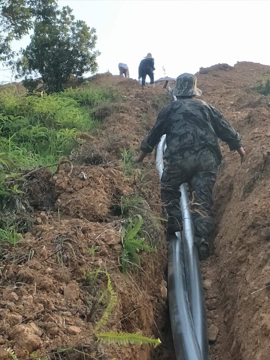 滴灌管廠家價格  滴灌管多少錢 滴灌管廠家