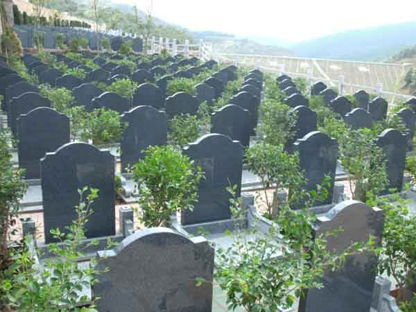 天津福陵園介紹 天津福陵園聯(lián)系電話-天津公墓銷售中心