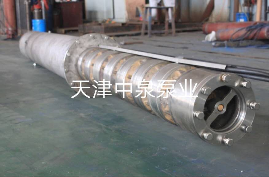 天津臥用潛水泵廠家直銷、批發(fā)、價格、哪家好【天津中泉泵業(yè)有限公司】