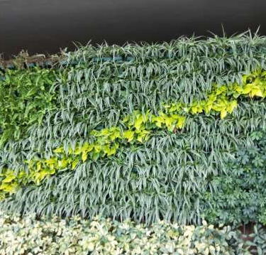 人工草皮墻直銷 人工草皮墻常年供應(yīng)