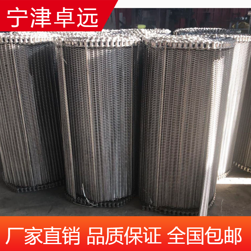 廠家供應(yīng)304不銹鋼網(wǎng)帶耐高溫耐腐蝕不銹鋼網(wǎng)帶輸送帶