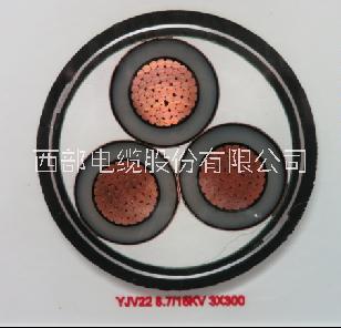 供應(yīng)銅芯交聯(lián)聚乙烯絕緣護(hù)套電力電纜    低煙無鹵阻燃護(hù)套電力電纜   陜西高低壓電力電纜生產(chǎn)廠家