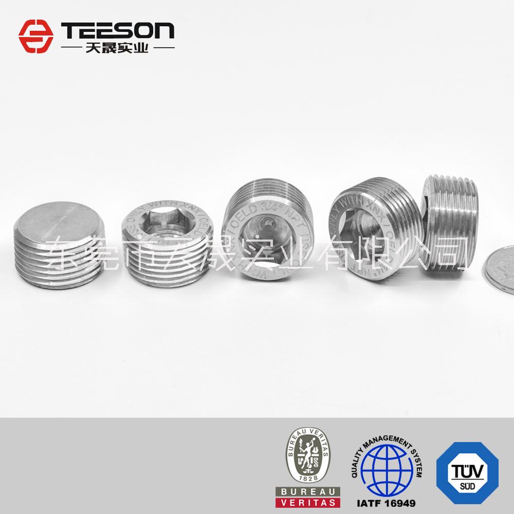 定制不銹鋼汽車堵頭，不銹鋼汽車配件，不銹鋼五金配件