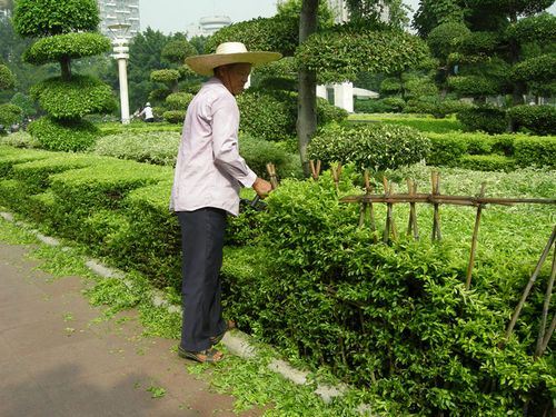 泰安綠化養(yǎng)護(hù)公司、承接綠化養(yǎng)護(hù)管理、植物造型修理【泰安市創(chuàng)美綠化工程有限公司】