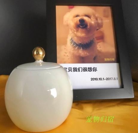 襄陽(yáng)寵物火化，襄陽(yáng)安寵寵物服務(wù)中