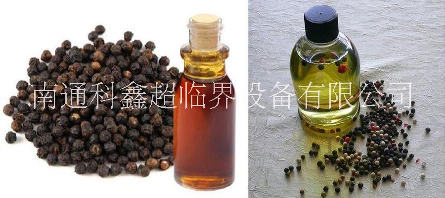 精油亞臨界萃取設備多少錢 亞臨界萃取設備廠家報價 鎮(zhèn)江亞臨界萃取設備廠家報價