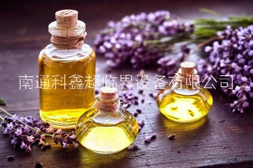 植物精油萃取  蜂膠黃酮萃取設(shè)備   孢子油萃取設(shè)備廠家