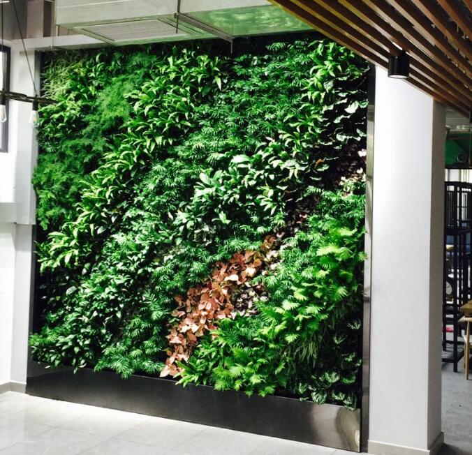 式植物墻 植物墻設(shè)計(jì)公司種植盆（槽）報(bào)價(jià)廠家【春明園林】 室內(nèi)植物墻