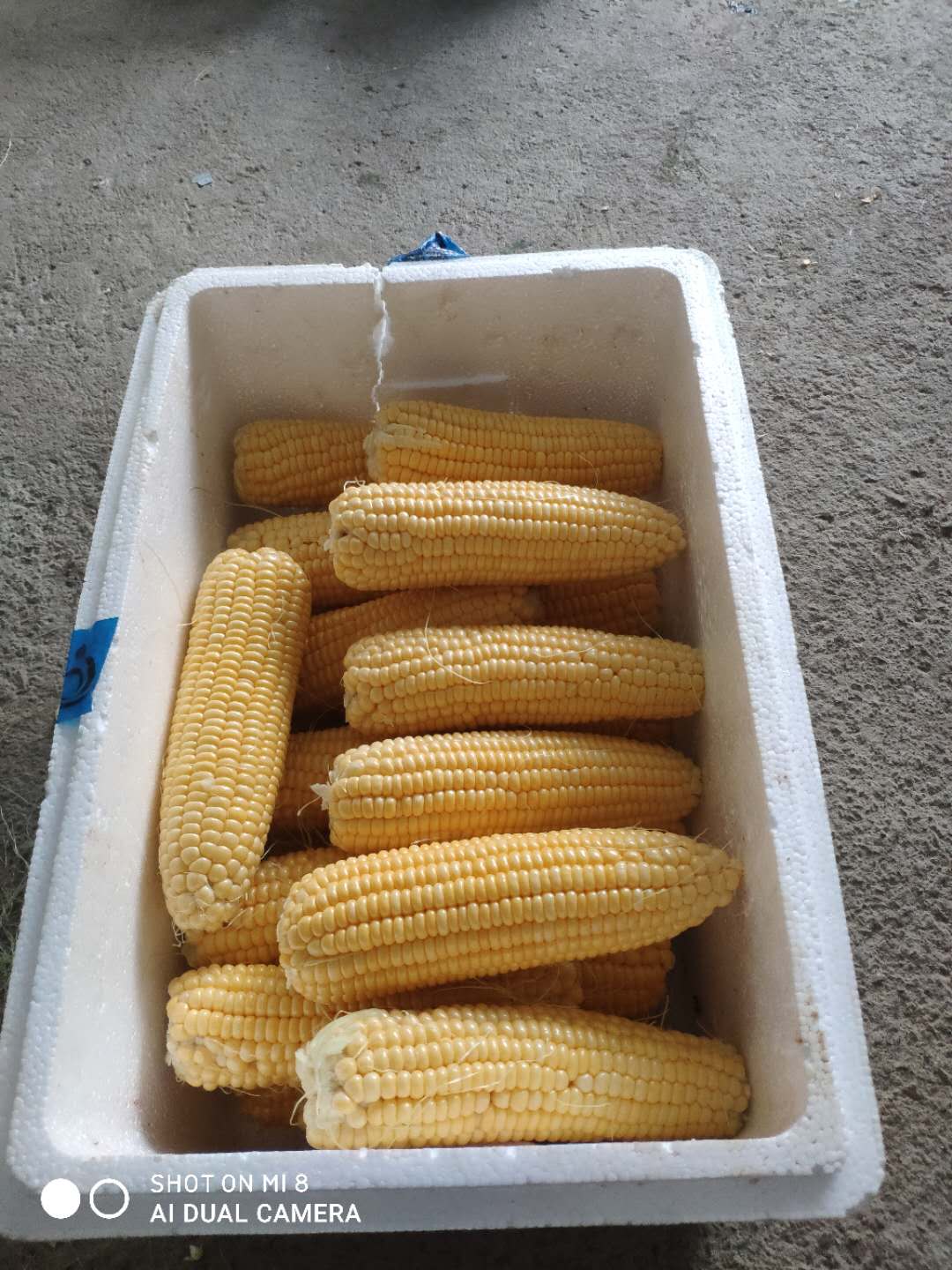 漳州龍文蔬菜配送