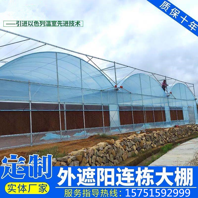 江蘇 專業(yè)承接大型溫室建設(shè)公司 溫室連棟棚安裝定制價(jià)格