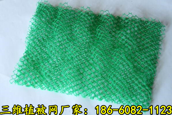 洛陽三維植被網(wǎng) 洛陽三維植被網(wǎng)一體服務(wù)施工