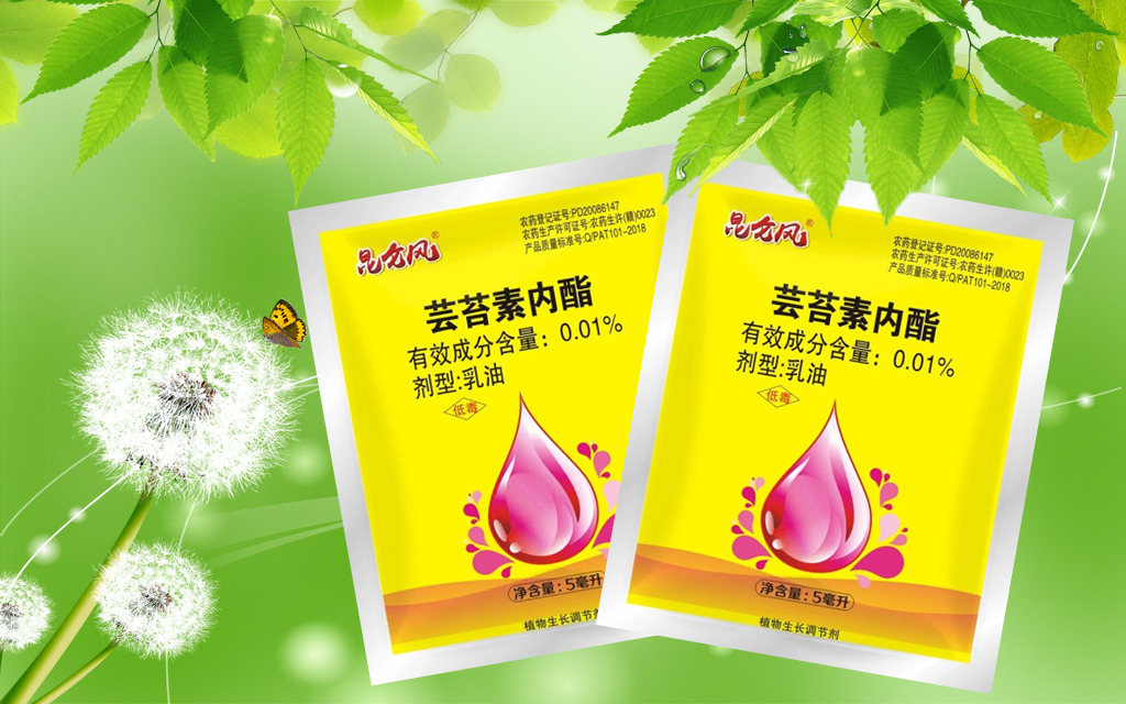 *內(nèi)酯作用，*內(nèi)酯什么時(shí)候用