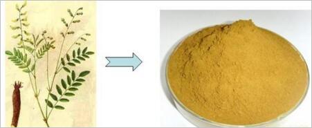 湖南生產(chǎn)植物提取物 黃芪甲苷價(jià)格 生產(chǎn)黃芪甲苷5% 黃芪甲苷10%價(jià)格