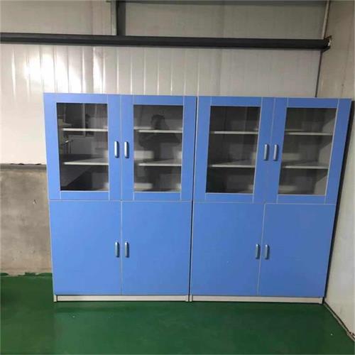 供應(yīng)濰坊試劑柜 實(shí)驗(yàn)室藥品柜 供應(yīng)濰坊試劑柜實(shí)驗(yàn)室藥品柜