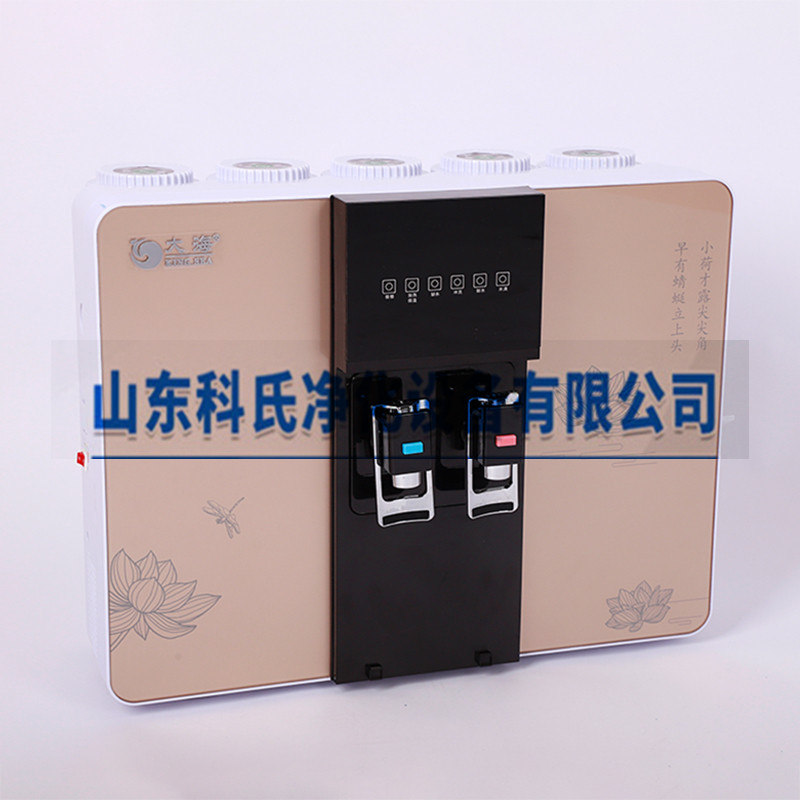 供應廚房家用反滲透RO家用凈水機山東科氏家用生態(tài)一體機 家用RO反滲透生態(tài)一體機