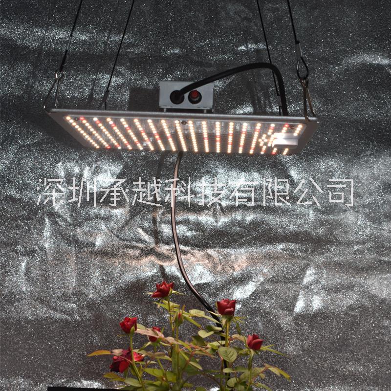 承越2代*板電源調(diào)光110W234珠植物生長燈陽臺室內(nèi)大棚種植