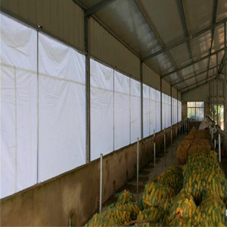豬場卷簾_篷布在豬場的應用 豬舍養(yǎng)殖場透光保暖卷簾布批發(fā)價格 畜牧養(yǎng)牛場窗簾布