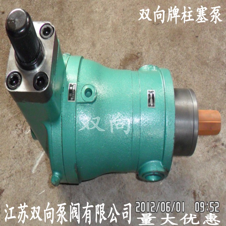 江蘇柱塞泵生產(chǎn)廠家、報(bào)價(jià)、批發(fā)商【江蘇雙向泵閥有限公司】