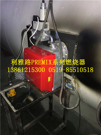 利雅路FGR煙氣外循環(huán)燃燒器*惠