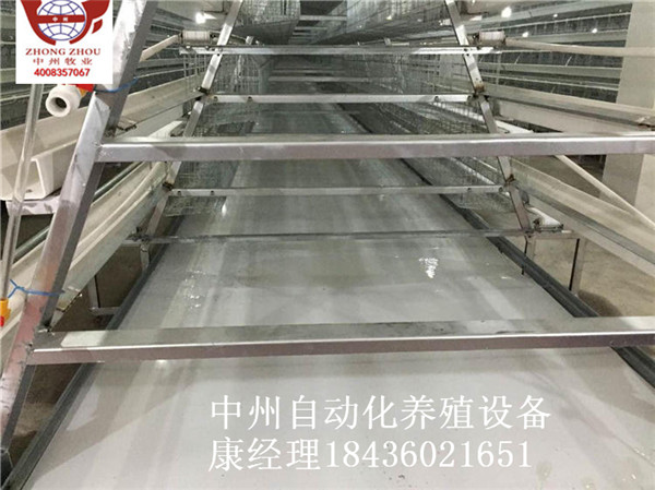 平帶清糞機(jī) 自動傳送帶清糞機(jī) 全自動設(shè)備